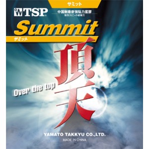 TSP Summit