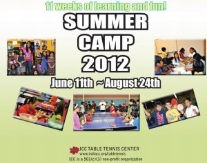 India Community Center 2012 Summer Camp Brochure